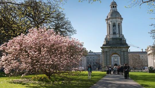 Dublin blossom shutterstock_722399623.jpg