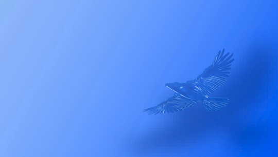 AIMA-ADFW 2025 - BANNER for web.png