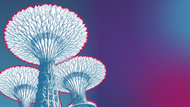 Singapore no text-website.png 1