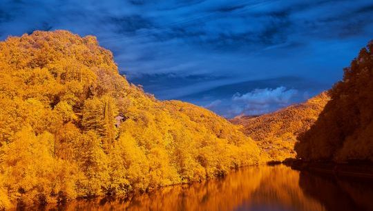 cover - cropped .jpg