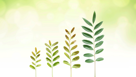 ESG-Growth-chart.gif